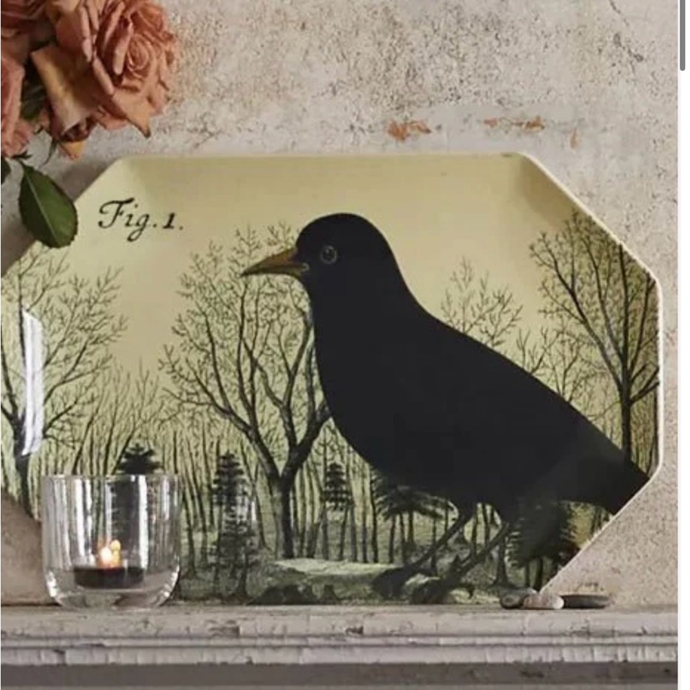 John Derian Black Bird Octagonal Tray - Silhouette Bird Design